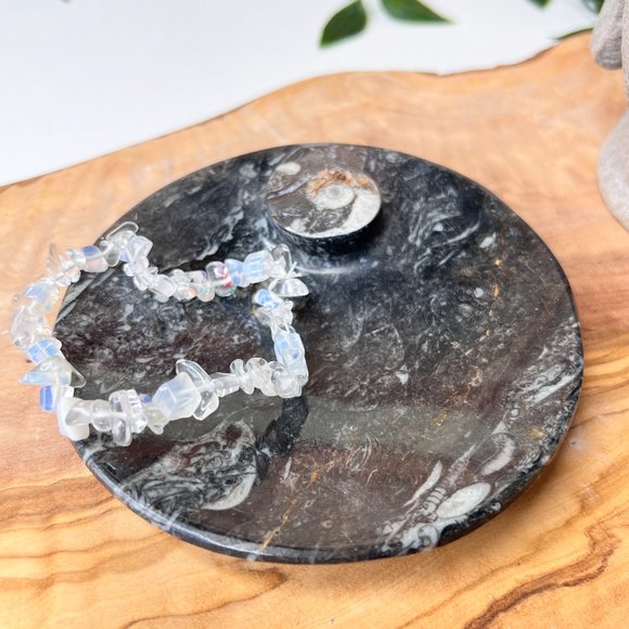 Genuine Orthoceras Fossil - Fossil Oval Ammonite Trinket dish from Morocco - Picture 7 of 11